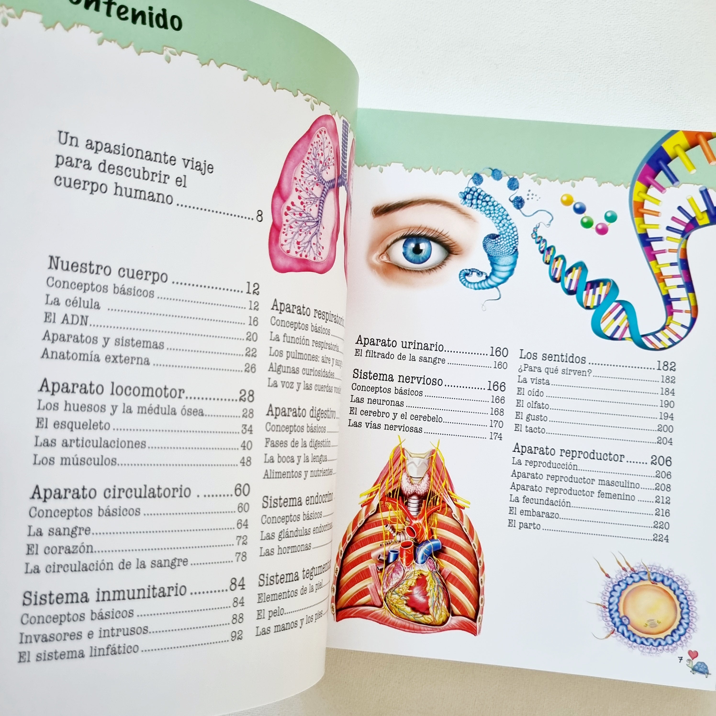 500 preguntas y respuestas sobre el cuerpo humano 500 preguntas y respuestas sobre el cuerpo humano